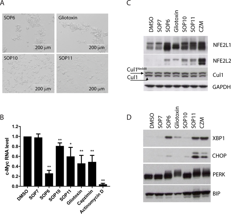 Fig 4.