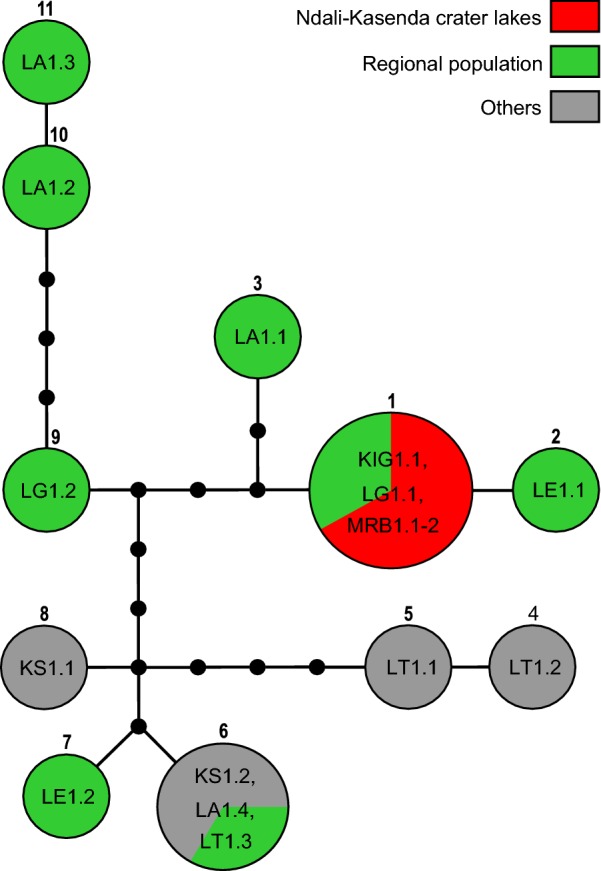 Fig. 4