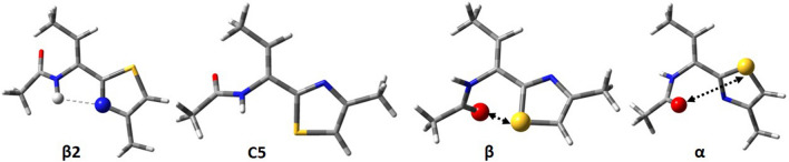 Fig. 5