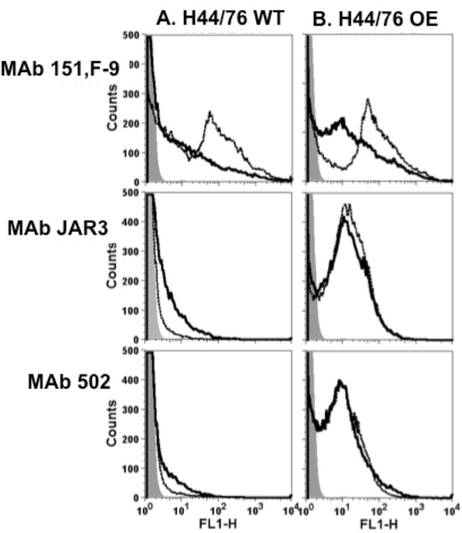 FIG 5