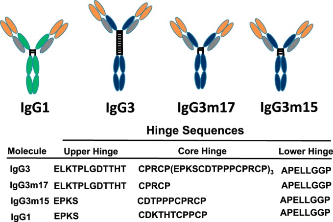 FIG 1