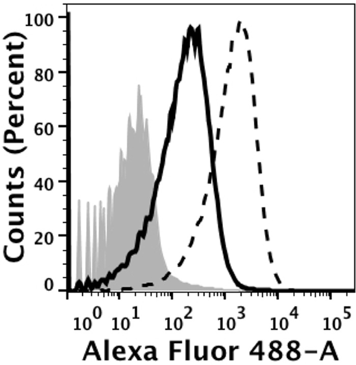 FIG 2