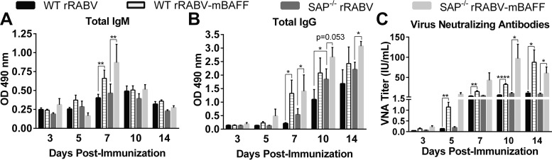 FIG 6