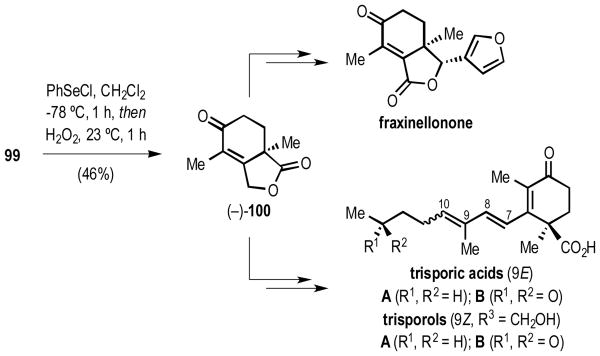 Scheme 12