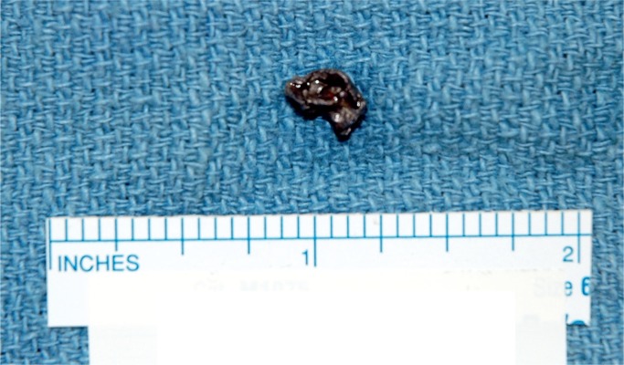 Image 10.
