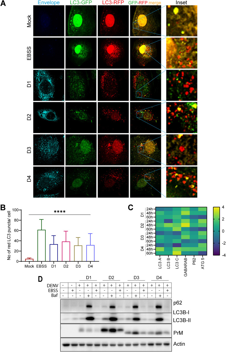 FIG 3