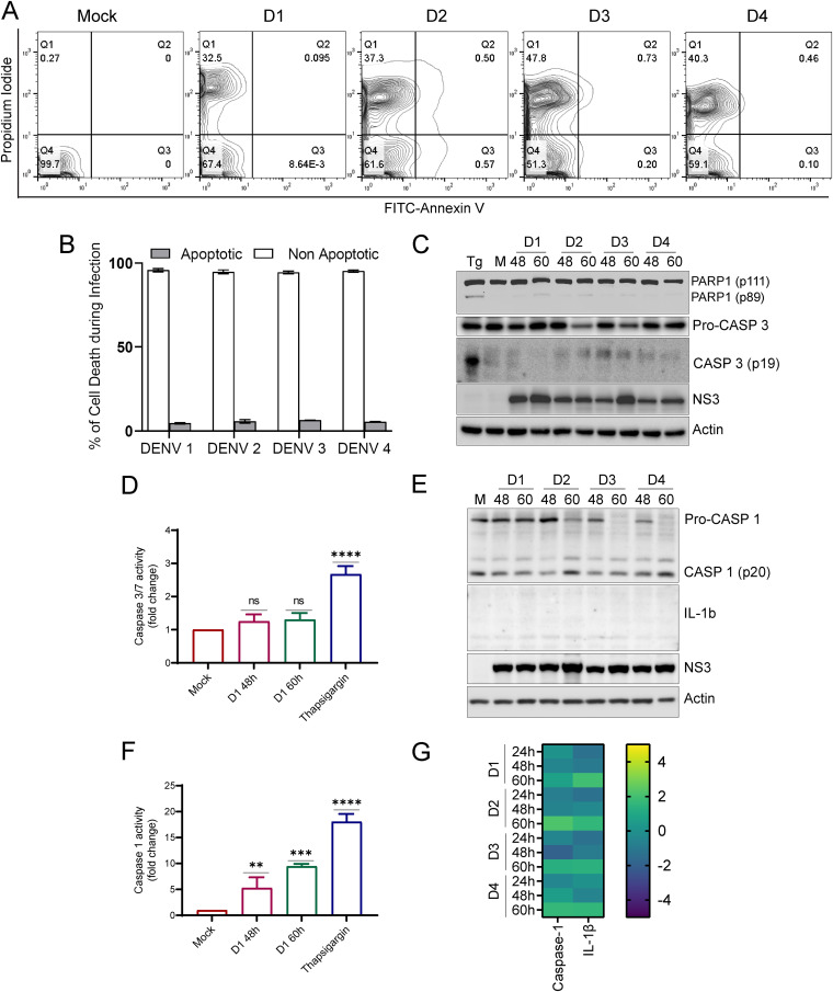 FIG 6