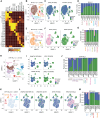 Figure 4. Single-cell DNA and protein sequencing to study the clonal architecture of ALL with MyM. A, Surface protein heat map of the canonical cell type–specific markers as measured by the Wilcoxon rank-sum test. B, Uniform manifold approximation and projection (UMAP) plot of B-ALL1 sample with cells clustered by immunophenotype. C, Gene mutations overlayed into the individual cells of immunophenotypically defined clusters. Genotype of a given cell is color-coded to indicate wild-type (WT) vs. homozygous (HOM) or heterozygous (HET) mutation status. Black dots indicate cells with unknown genotype. D, Graph showing the fractions of mutated cells in each cluster of B-ALL1. E–G, UMAP plots and mutation distributions in different immunophenotypic compartments of B-ALL3. H–J, UMAP plots and mutation distributions in different immunophenotypic compartments of ETP-ALL1. K–M, UMAP plots and mutation distributions in different immunophenotypic compartments of ETP-ALL2.