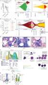 Figure 5. Evolution of ALL from preexisting clonal hematopoiesis. Analysis of serial diagnosis and MRD-negative CR (A), as well as diagnosis and relapse (B) bone marrow samples revealed the persistence of myeloid clonal hematopoiesis (CH) mutations. C, FISH plots demonstrate that myeloid CH mutations were detectable years before the diagnosis of ALL and presented as dominant clones at ALL diagnosis. D, FISH plot showing the clonal evolution of therapy-related B-ALL and therapy-related myelodysplastic syndrome (MDS) from the same TET2 CH clone at different time points. E, Bone marrow aspirate smears for CH, B-ALL, and MDS with ring sideroblasts. Scale bar, 10 μm. F, Clonal evolution of B-ALL2 from preexisting DNMT3A CH clone, which was detectable 6 years before the diagnosis of DNMT3A/TP53-mutant ALL. G and H, Flow-cytometric analysis of different cellular compartments in B-ALL2, which were genotyped after cell sorting. CH mutations (DNMT3A and TP53) were shared between lymphoblasts and myeloid cells. I, DNMT3A/TP53-mutated, D-J rearranged early pro-B cell gave rise to hypodiploid CD19+ B-ALL2. After treatment with blinatumomab, a CD19-negative clone with a different V(D)J sequence emerged from the earlier diploid pro-B cell with CH mutations (created with BioRender.com). CR, complete remission; HSC, hematopoietic stem cell; MRD, measurable residual disease.