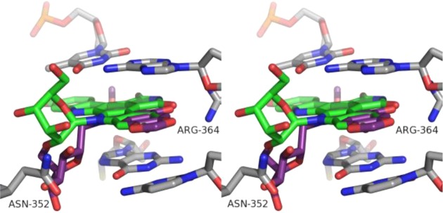 Figure 7