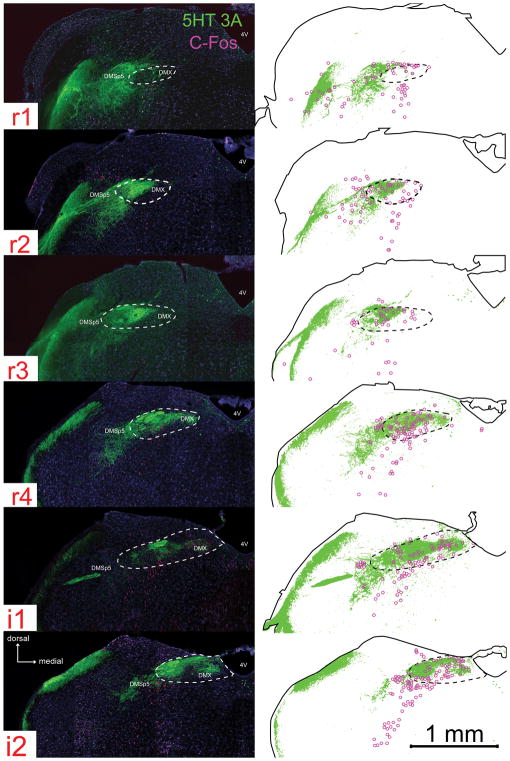 Fig. 4