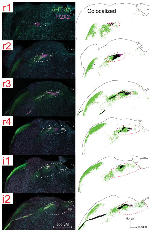 Fig. 3