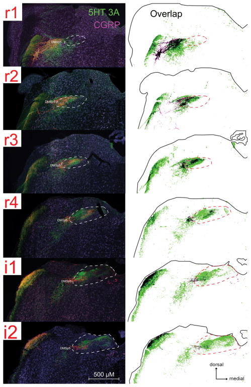 Fig. 6