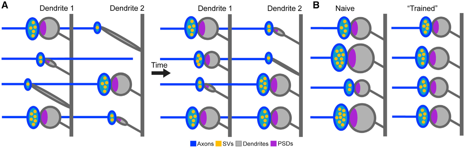 Figure 7.