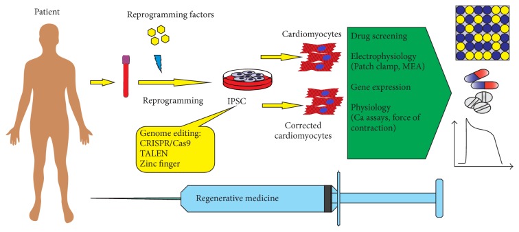 Figure 2