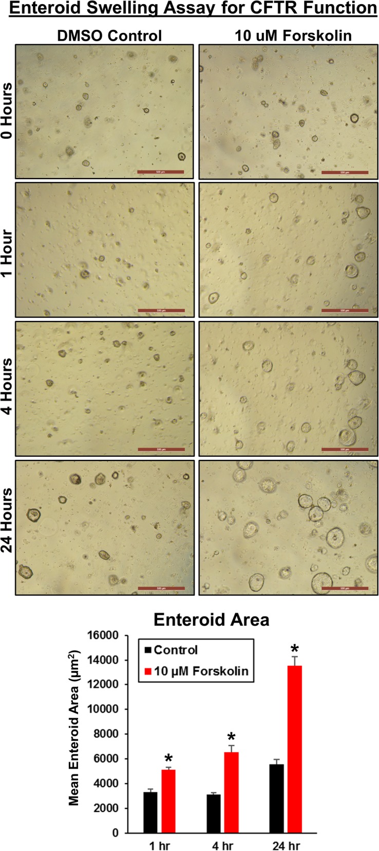 Fig. 8