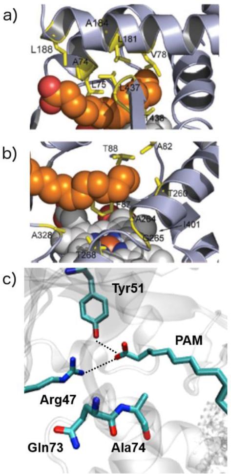 Fig. 10