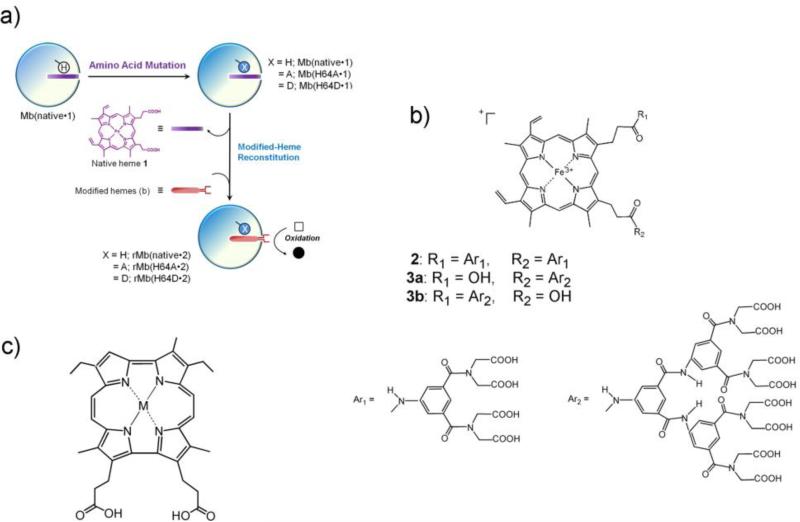 Fig. 17