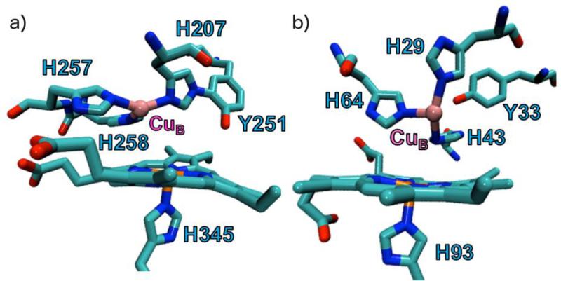 Fig. 12