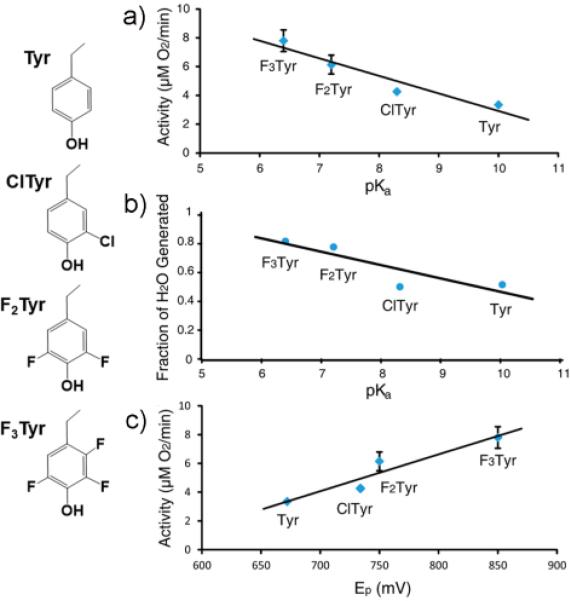 Fig. 13