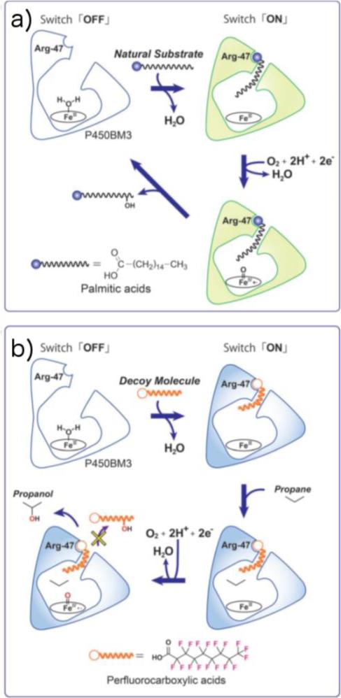 Fig. 11