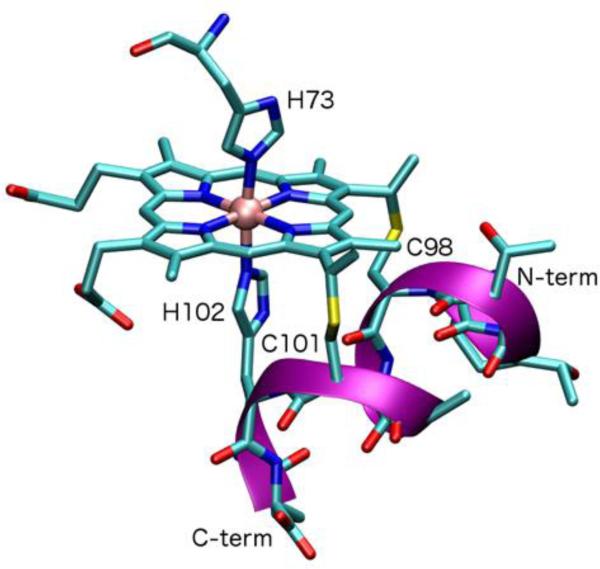 Fig. 2