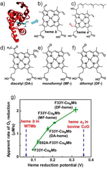 Fig. 14