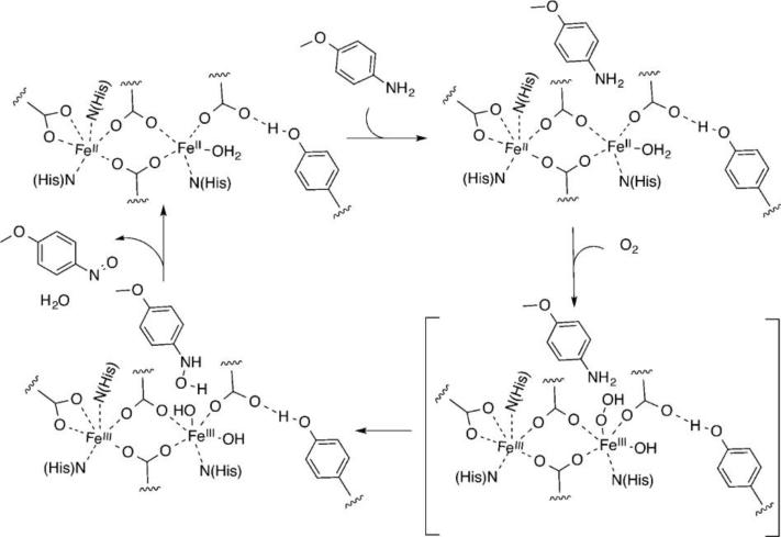 Scheme 3