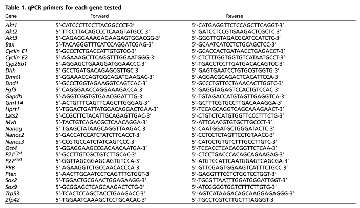 graphic file with name table002.jpg