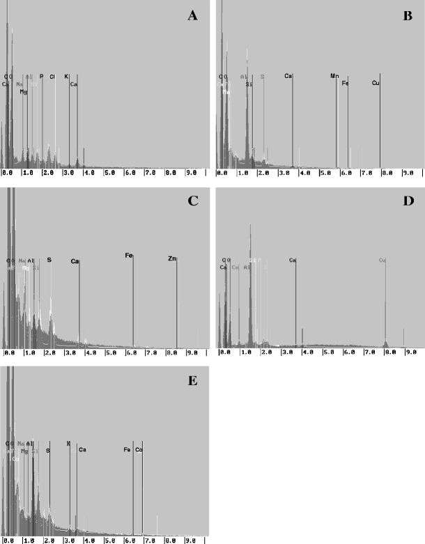 Fig. 3