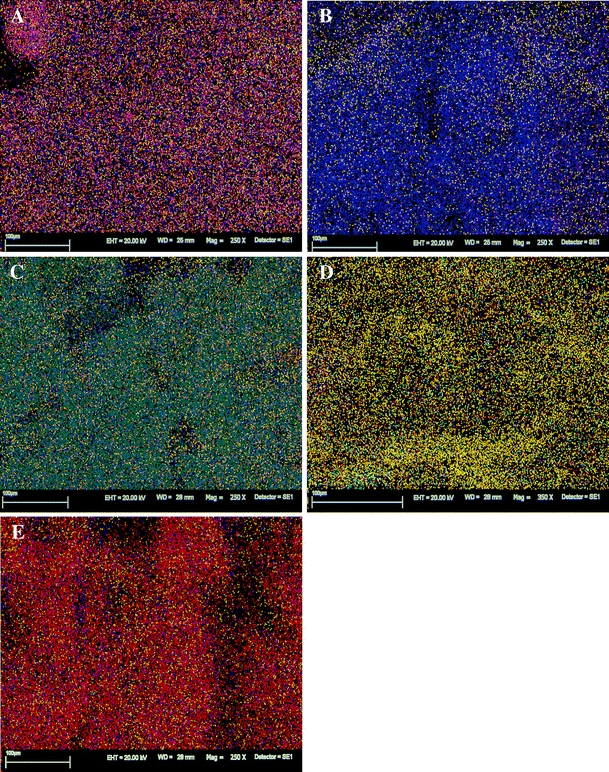 Fig. 4