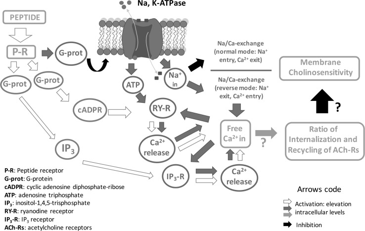 Fig. 3