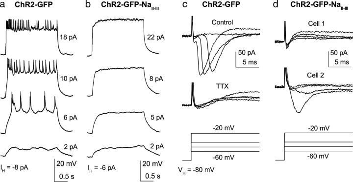 Figure 4.