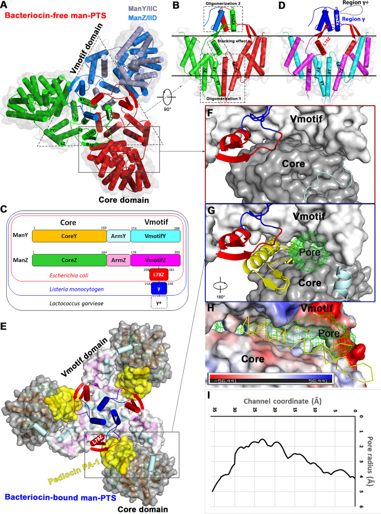 FIG 1