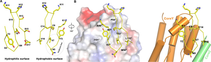 FIG 3