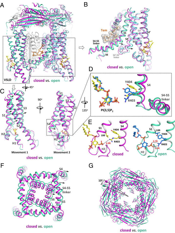 Fig. 4.