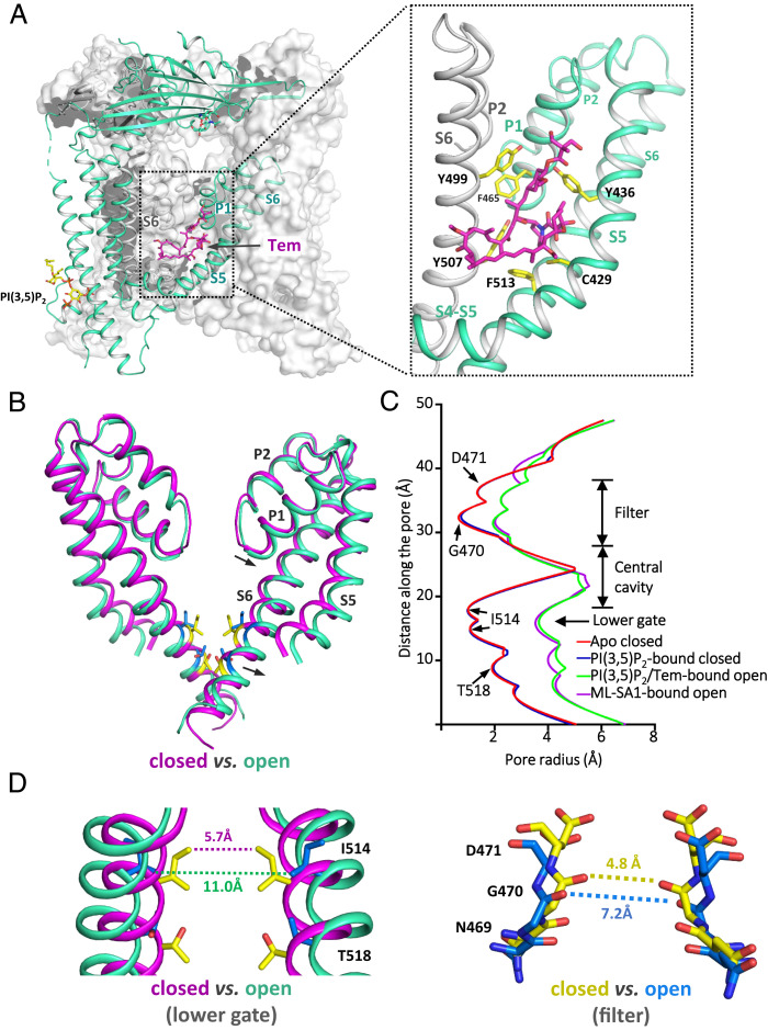 Fig. 3.