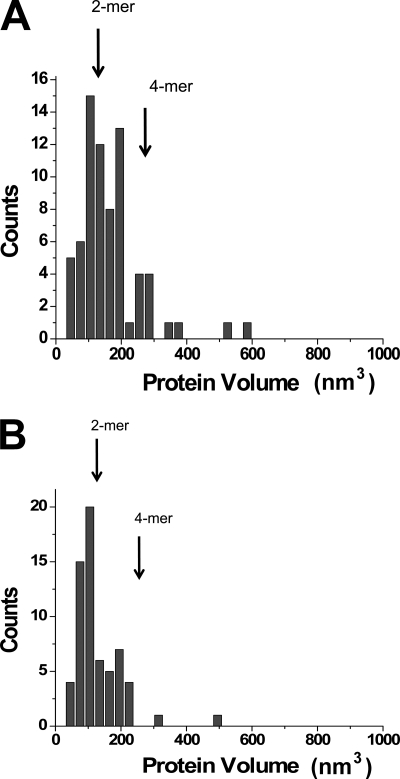 FIGURE 5.