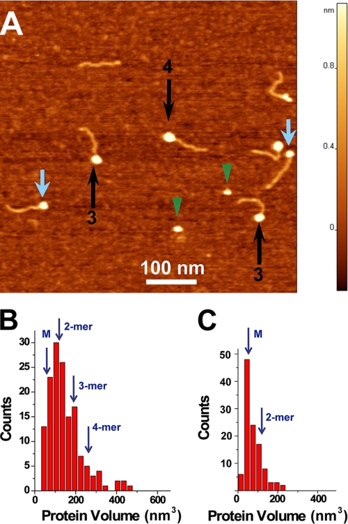 FIGURE 3.