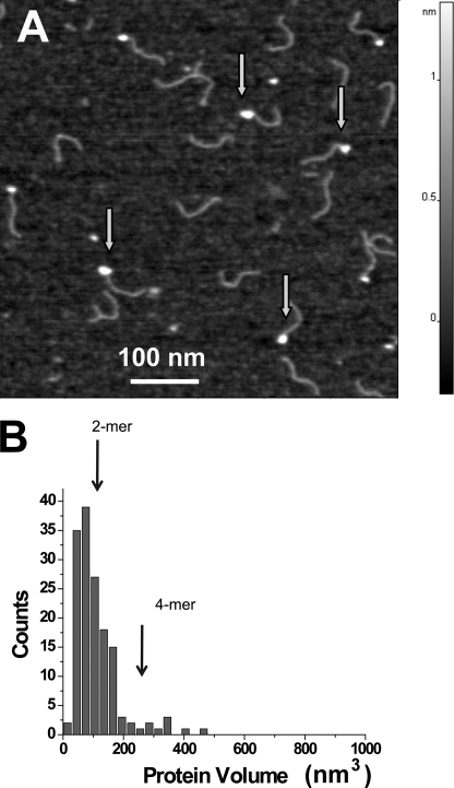 FIGURE 4.