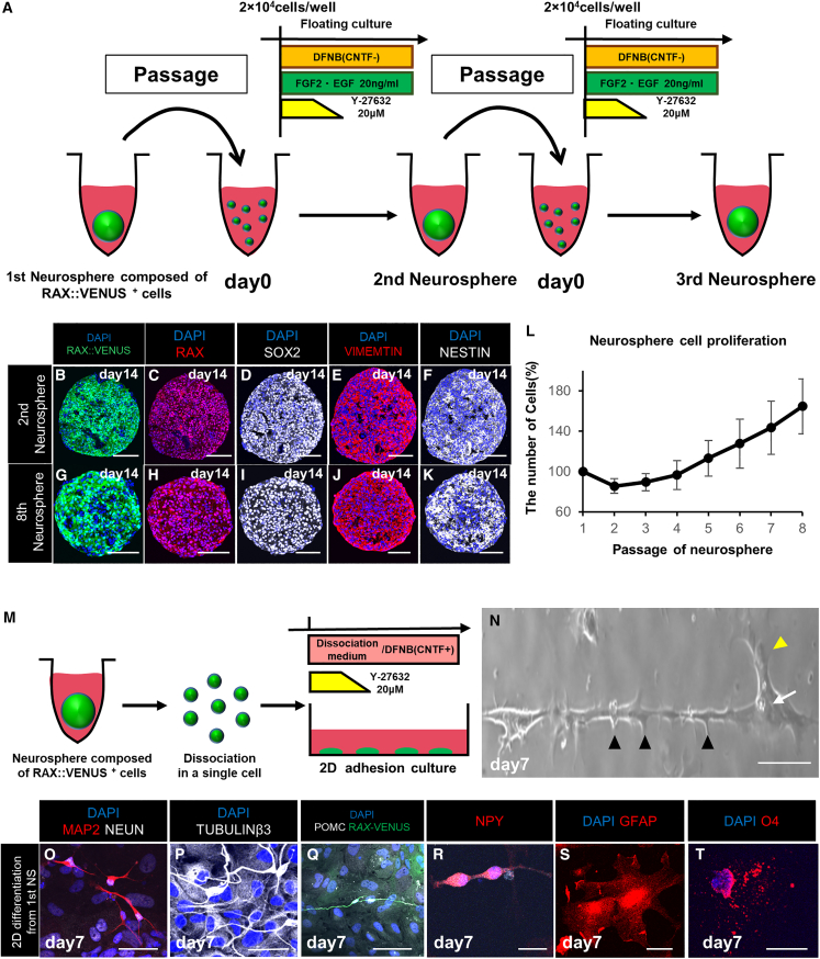 Figure 3