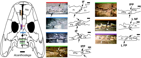 Fig. 2.