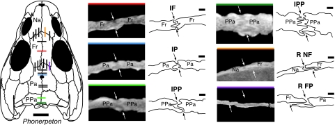 Fig. 3.