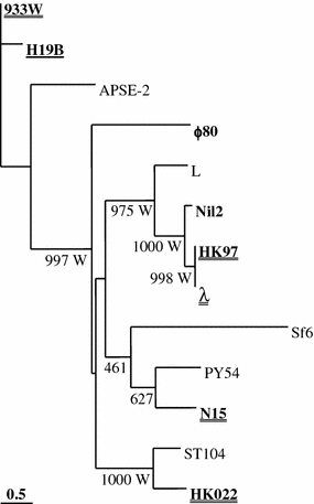Fig. 8