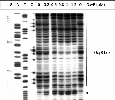 Fig. 4