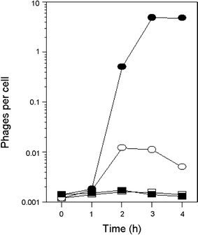 Fig. 2
