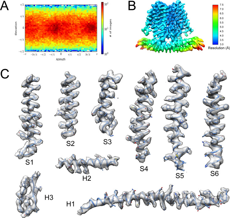 Figure 3—figure supplement 2.