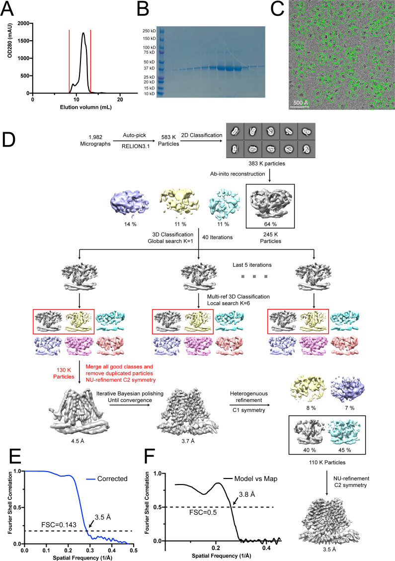 Figure 3—figure supplement 1.