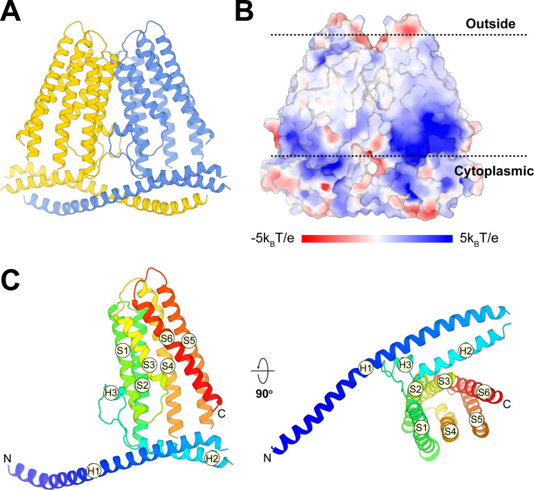 Figure 3.