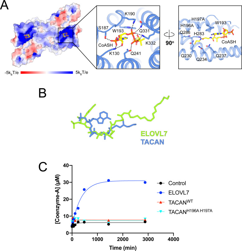 Figure 5—figure supplement 1.